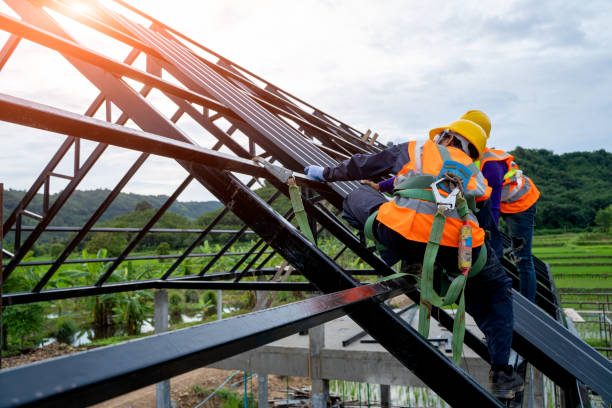 Best Local Roofing Companies  in Newton, KS