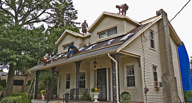 Best Roofing Contractor Near Me  in Newton, KS