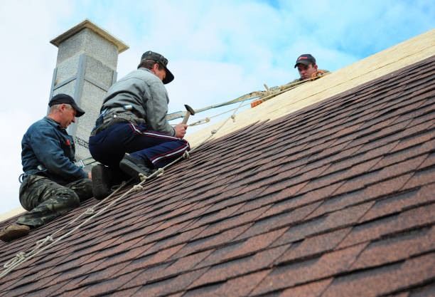 Best Metal Roofing Contractor  in Newton, KS